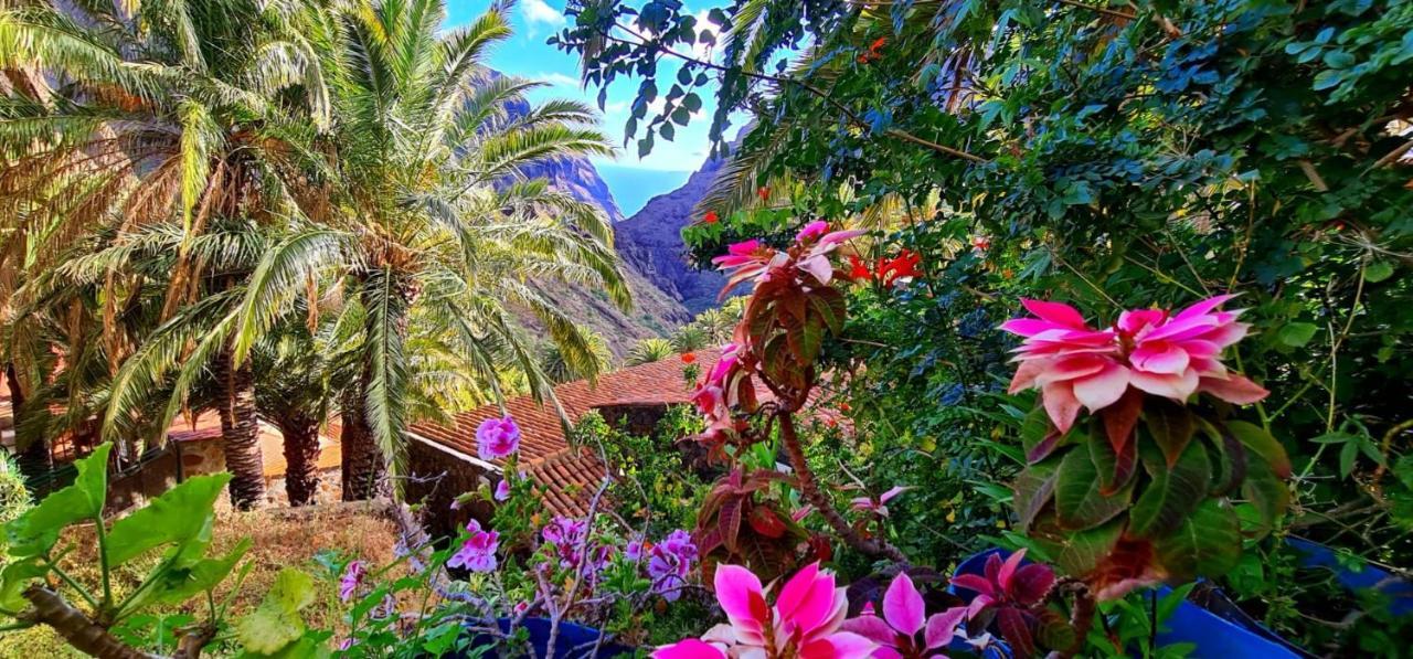Ocean View Tenerife Сан Мигел де Абона Екстериор снимка
